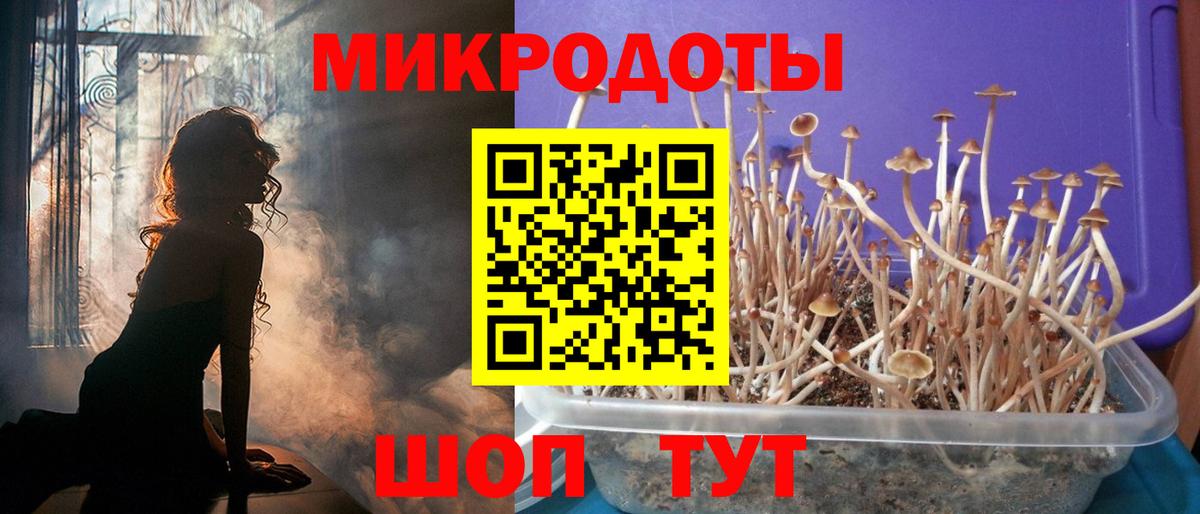 Галлюциногенные грибы Psilocybine cubensis Зеленодольск
