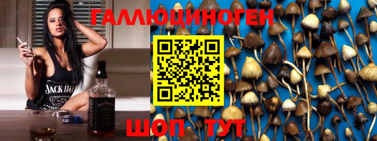 ГАШИШ  Вход с VPN  Зеленодольск  Кокаин  ТГК  Марихуана  ГАШИШ  APVP СК кристаллы  Метамфетамин  Меф МЯУ МЯУ кристаллы 